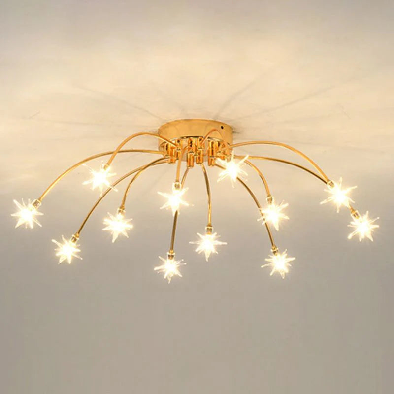 Beautiful Ceiling Light for Your Home
