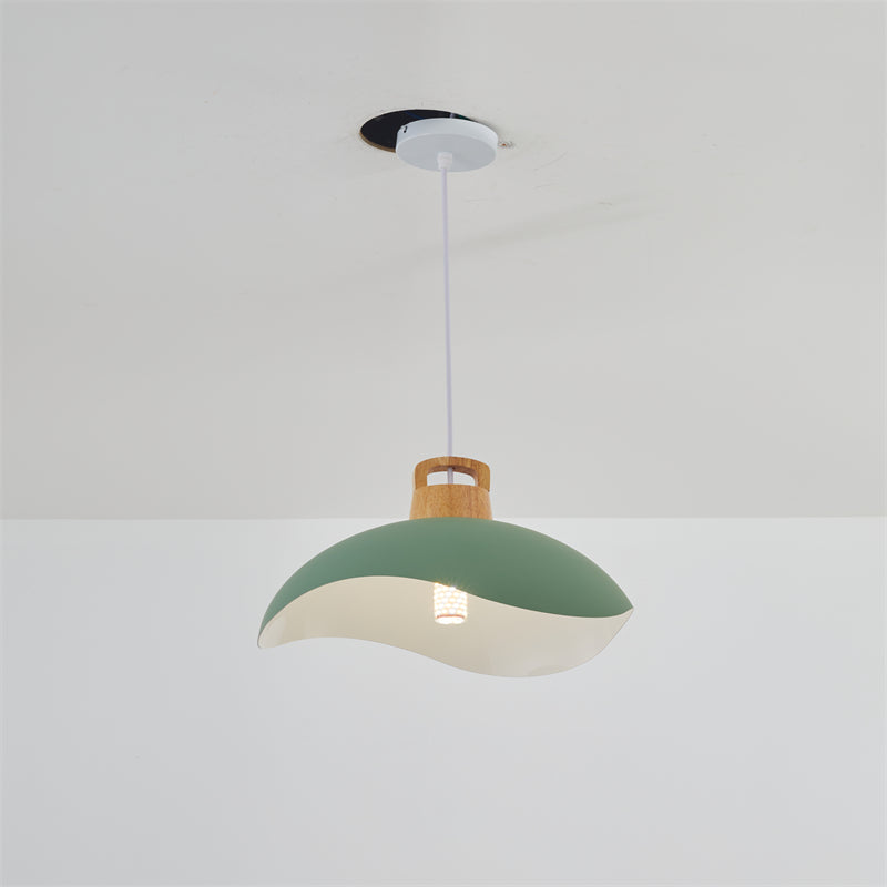 Morandi Colorful Shade Single Pendant Lights, Wood & Metal