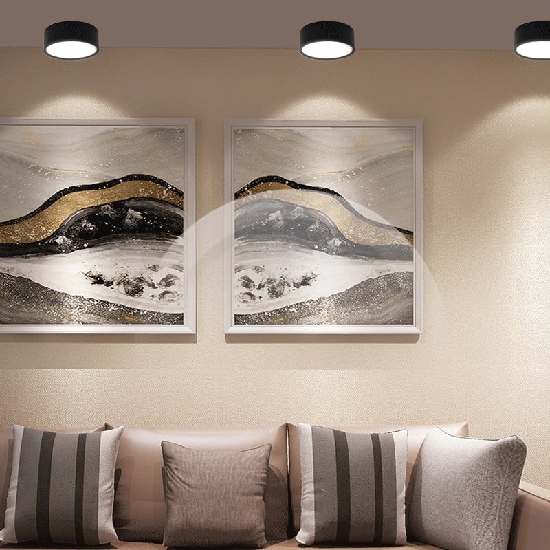 Quinn Flush Mount Ceiling Light Cylindrical Modern Metal/Acrylic, White/Black/Gray, Bedroom
