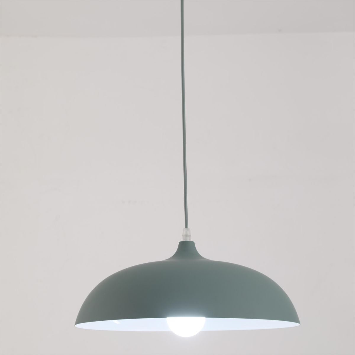 Morandi Metal Colorful Pendant Light