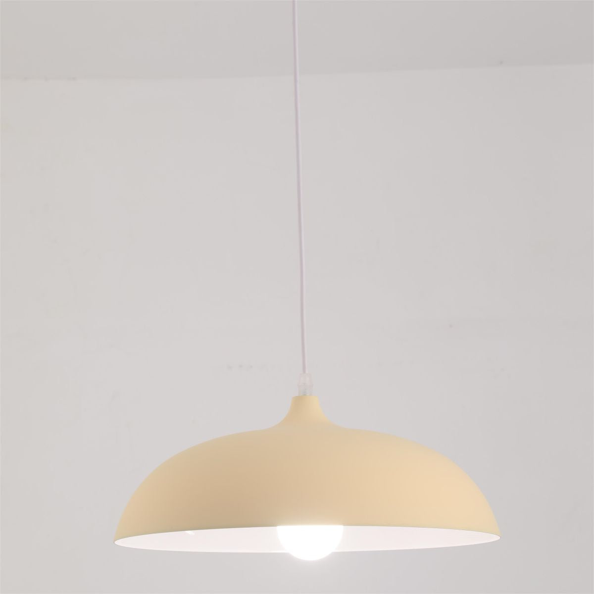 Morandi Metal Colorful Pendant Light