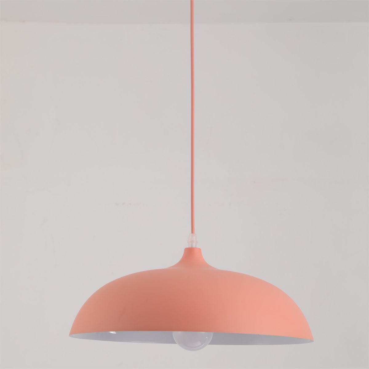 Morandi Metal Colorful Pendant Light