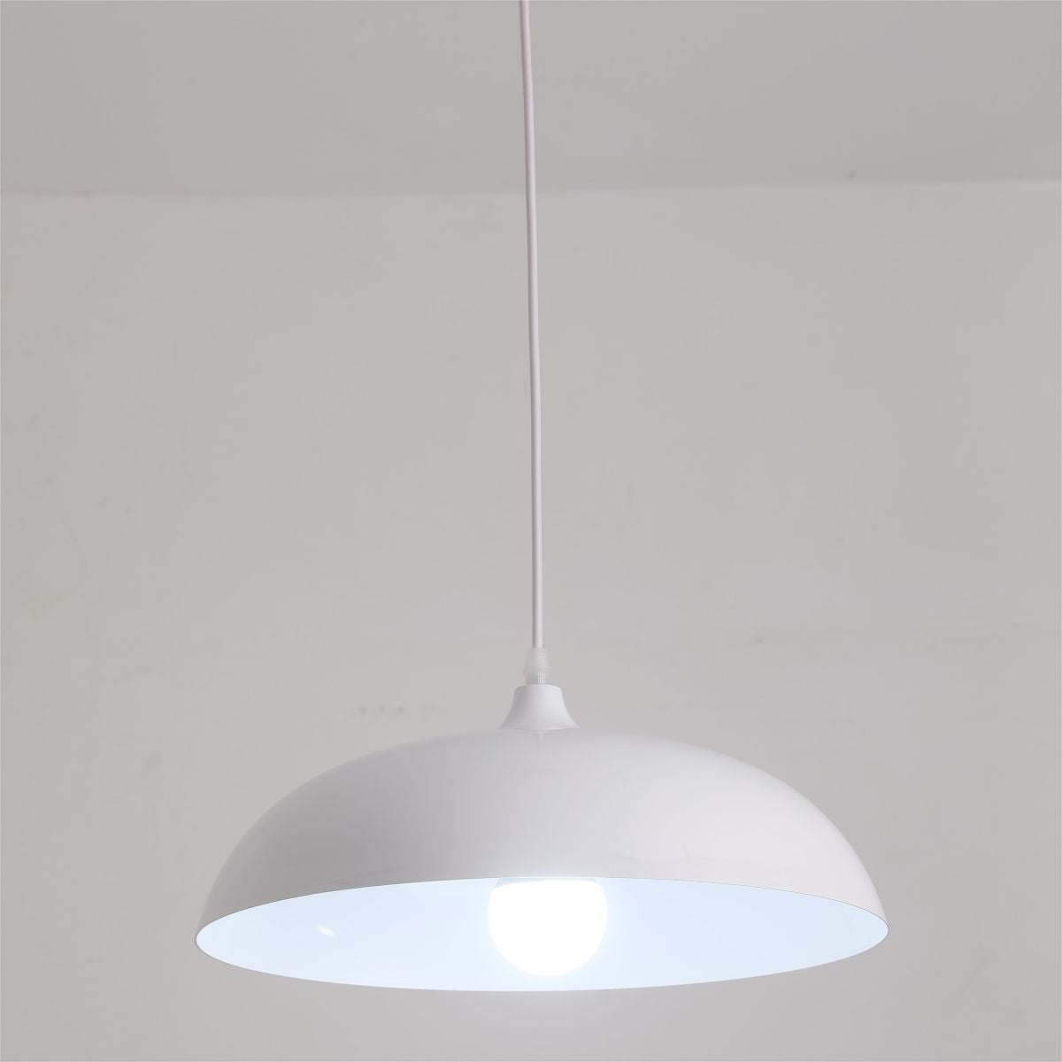 Morandi Metal Colorful Pendant Light