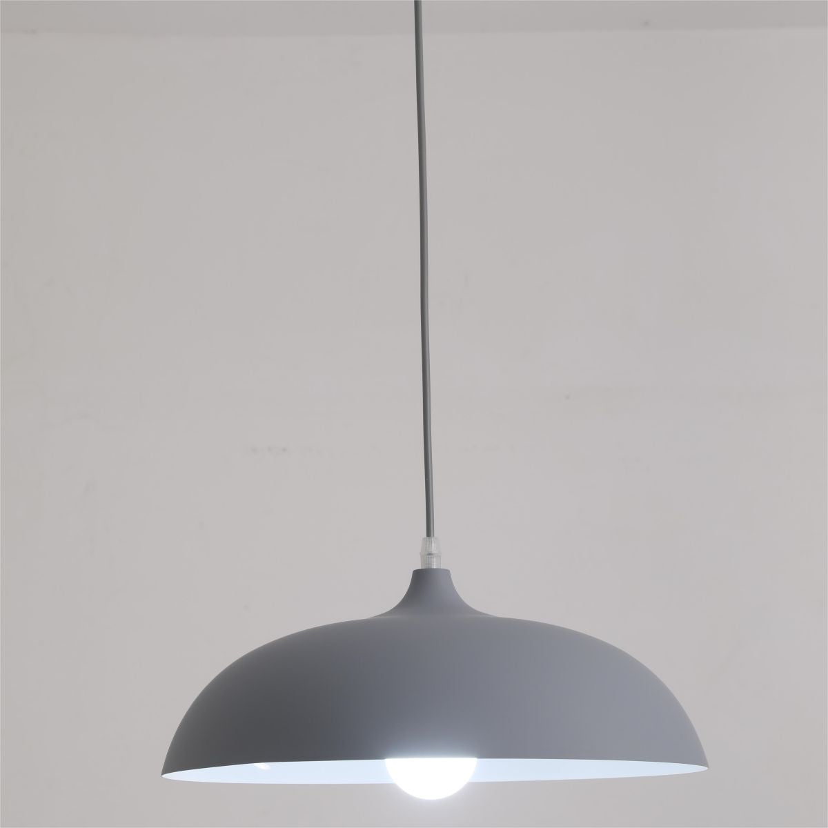 Morandi Metal Colorful Pendant Light