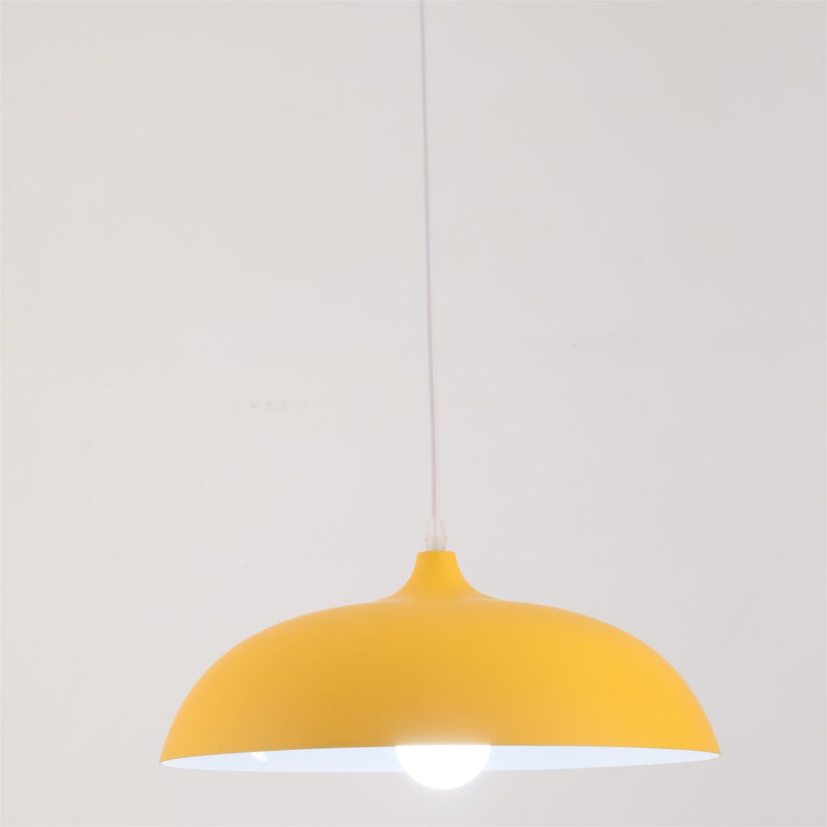 Morandi Metal Colorful Pendant Light