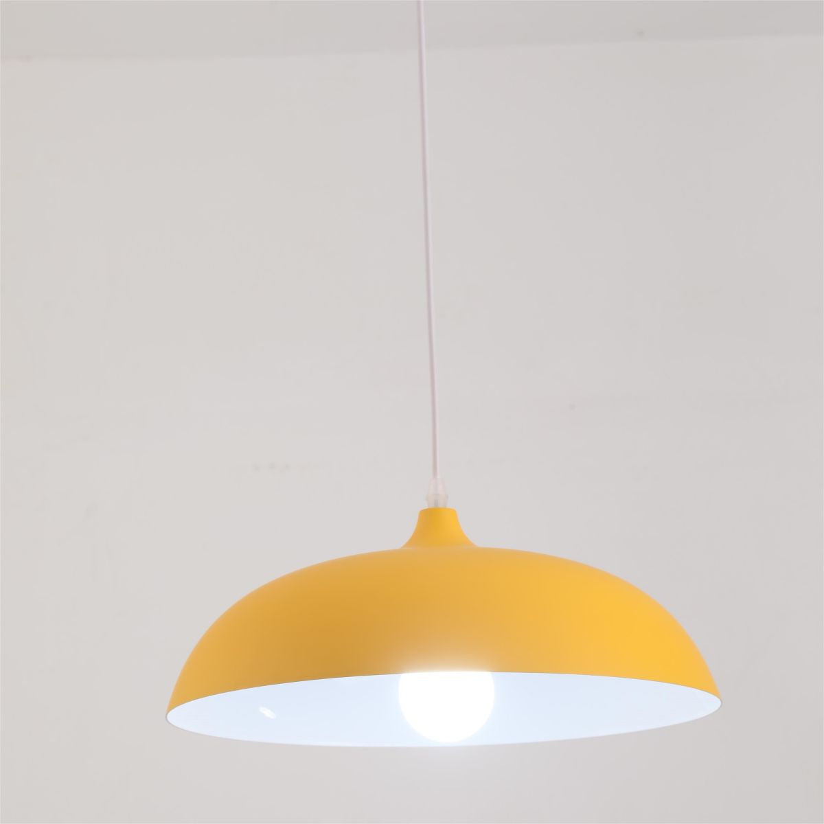 Morandi Metal Colorful Pendant Light