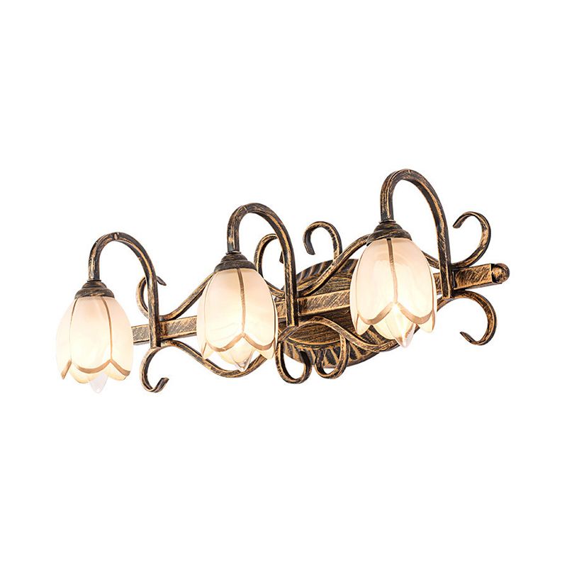 Félicie Antique Brass Flower Mirror Front Vanity Wall Lamp