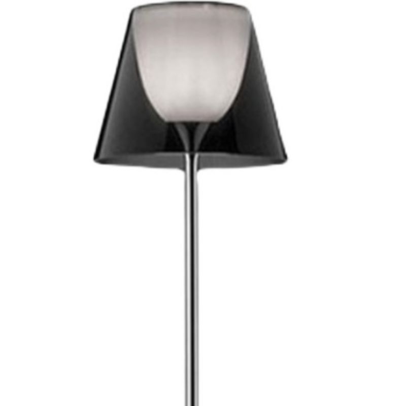 Eryn Dome Modern Metal Floor Lamp