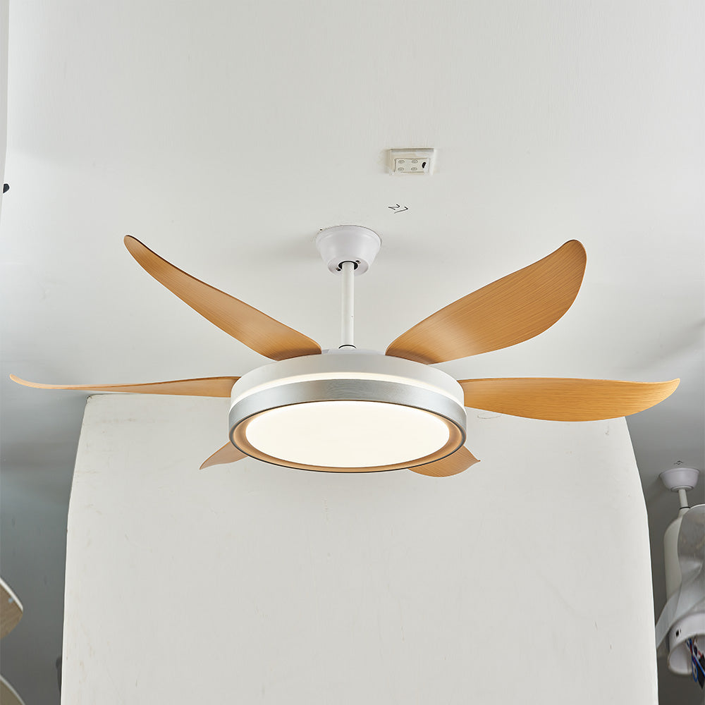 Haydn 6-Blade DC Ceiling Fan with Light, Silver & Gold, 51''