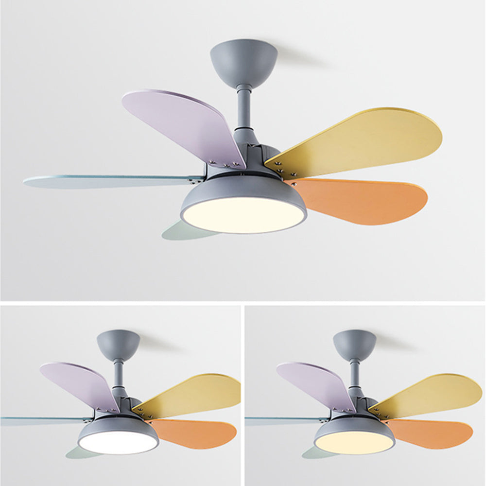 Morandi Colorful DC Ceiling Fan with Light, Grey & White, 5-Blade, for Summer