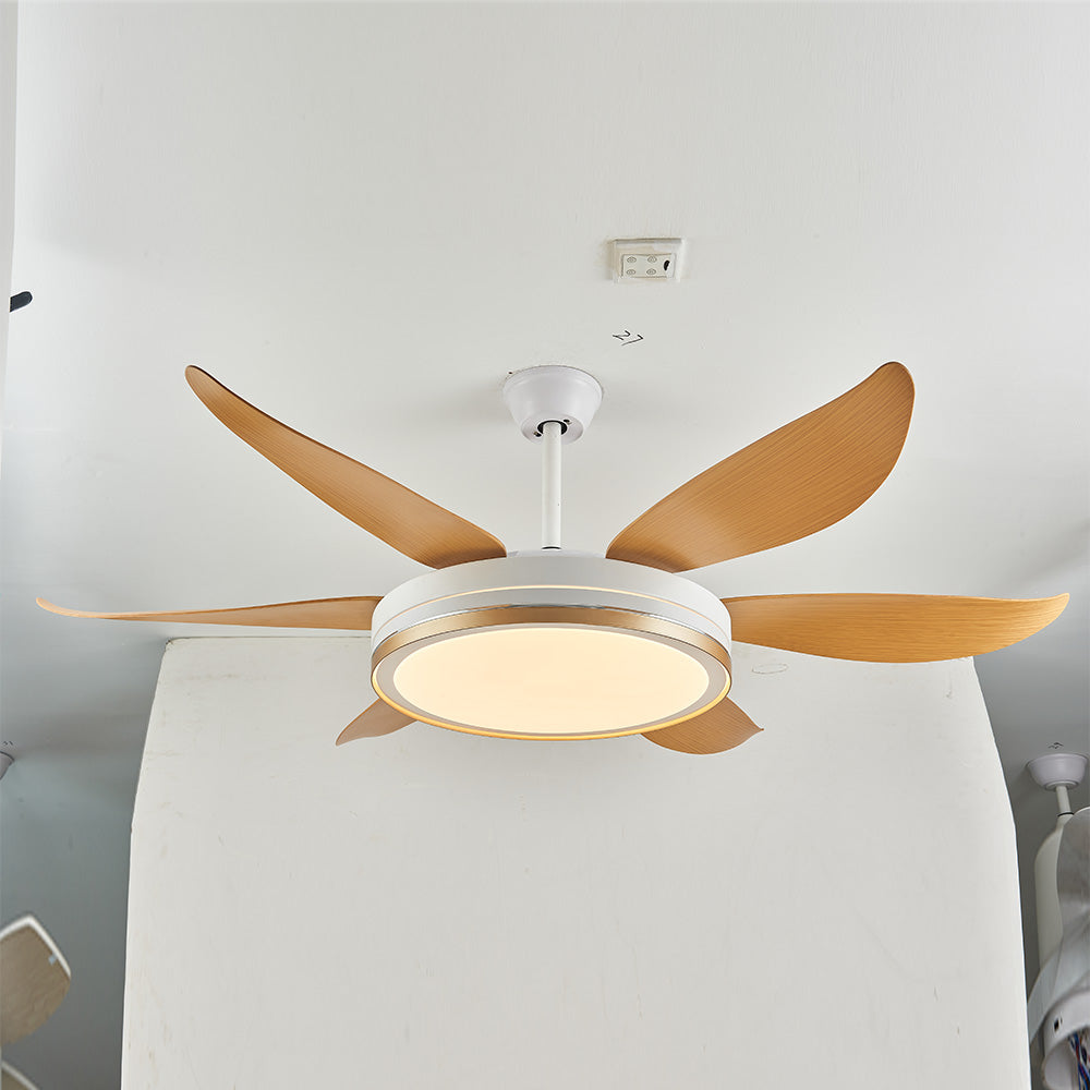Haydn 6-Blade DC Ceiling Fan with Light, Golden & White, 51''/60''