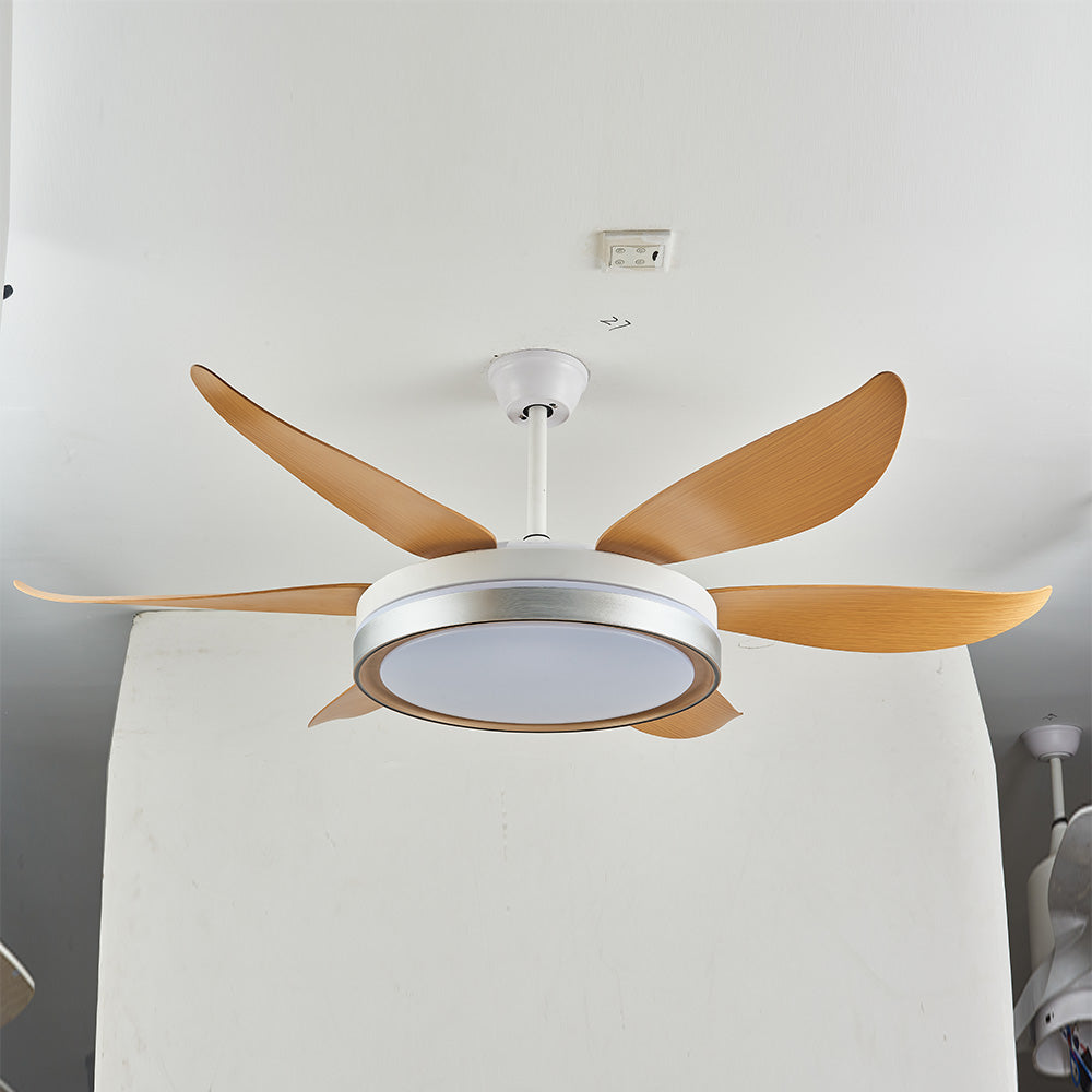 Haydn 6-Blade DC Ceiling Fan with Light, Silver & Gold, 51''