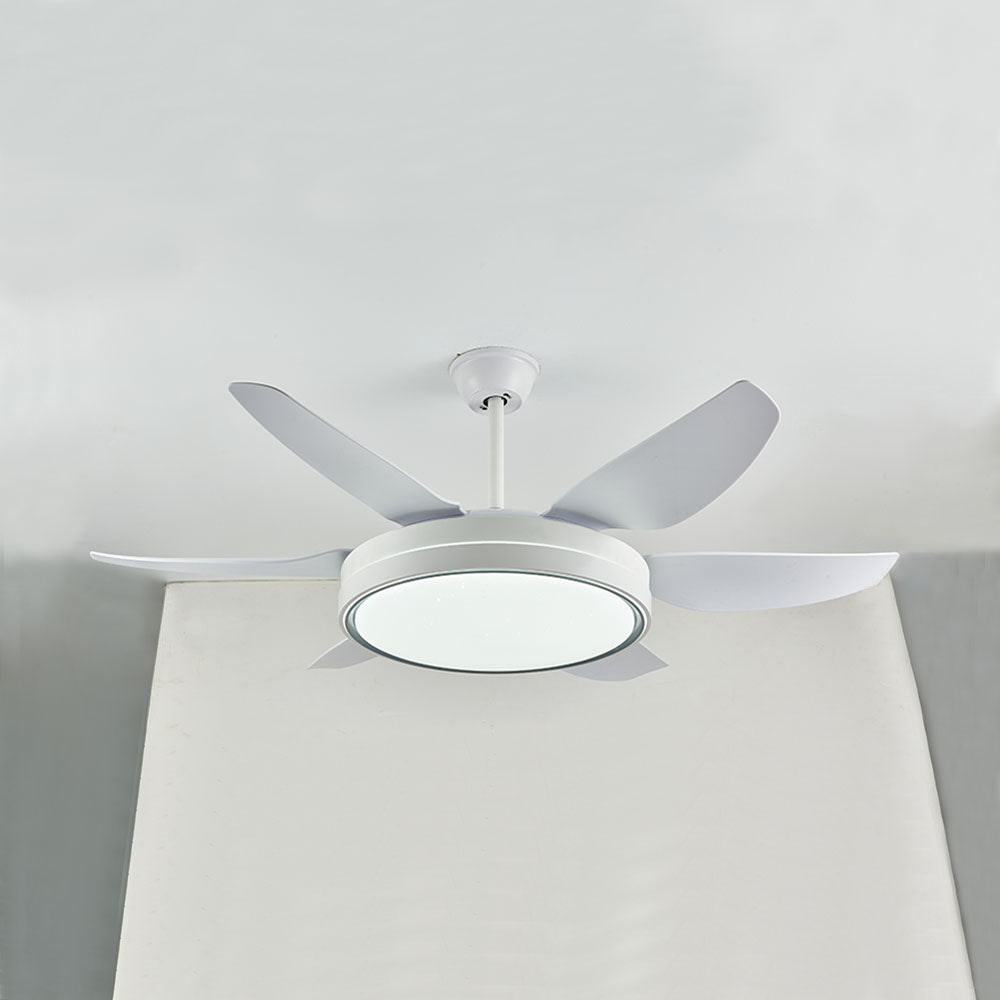 Haydn 6-Blade Modern Basic White DC Ceiling Fan with Light, Summer, 51''