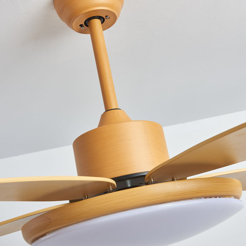 Haydn 5-Blade DC Ceiling Fan with Light, Wood Color, Summer, 40''/47''