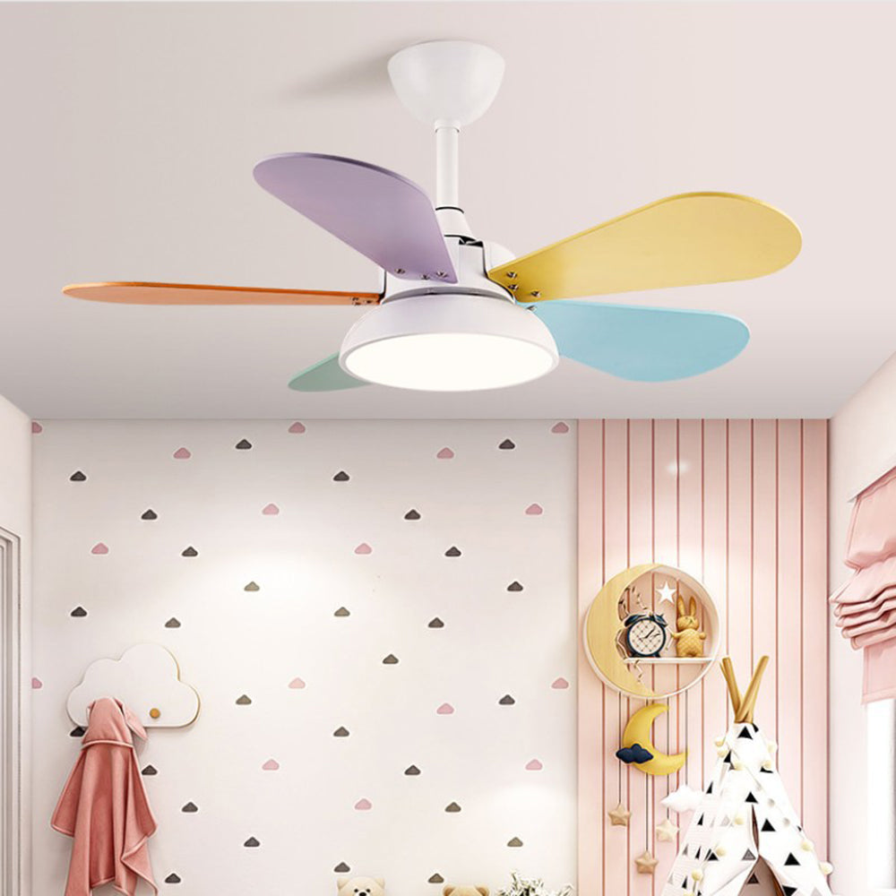Morandi Colorful DC Ceiling Fan with Light  & 5-Blade for Summer