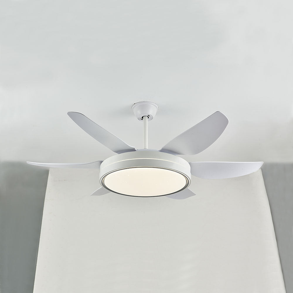 Haydn 6-Blade Modern Basic White DC Ceiling Fan with Light, Summer, 51''