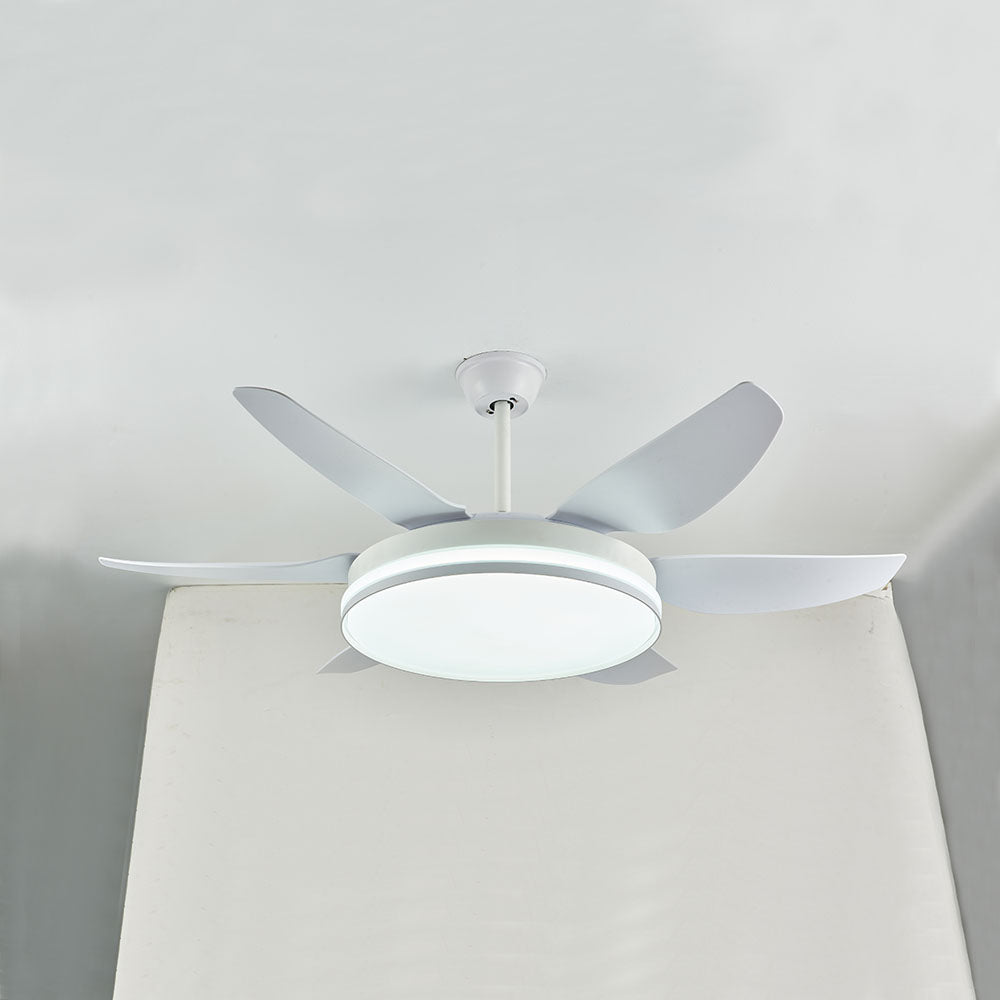 Haydn 6-Blade DC Ceiling Fan with Light, Black & White, 51''