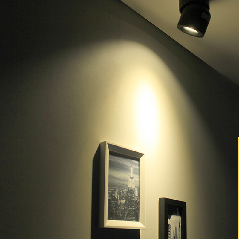 Novak Modern, LED Flush Mount Ceiling Light Spotlight, Black/White