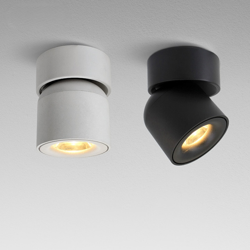 Novak Modern, LED Flush Mount Ceiling Light Spotlight, Black/White