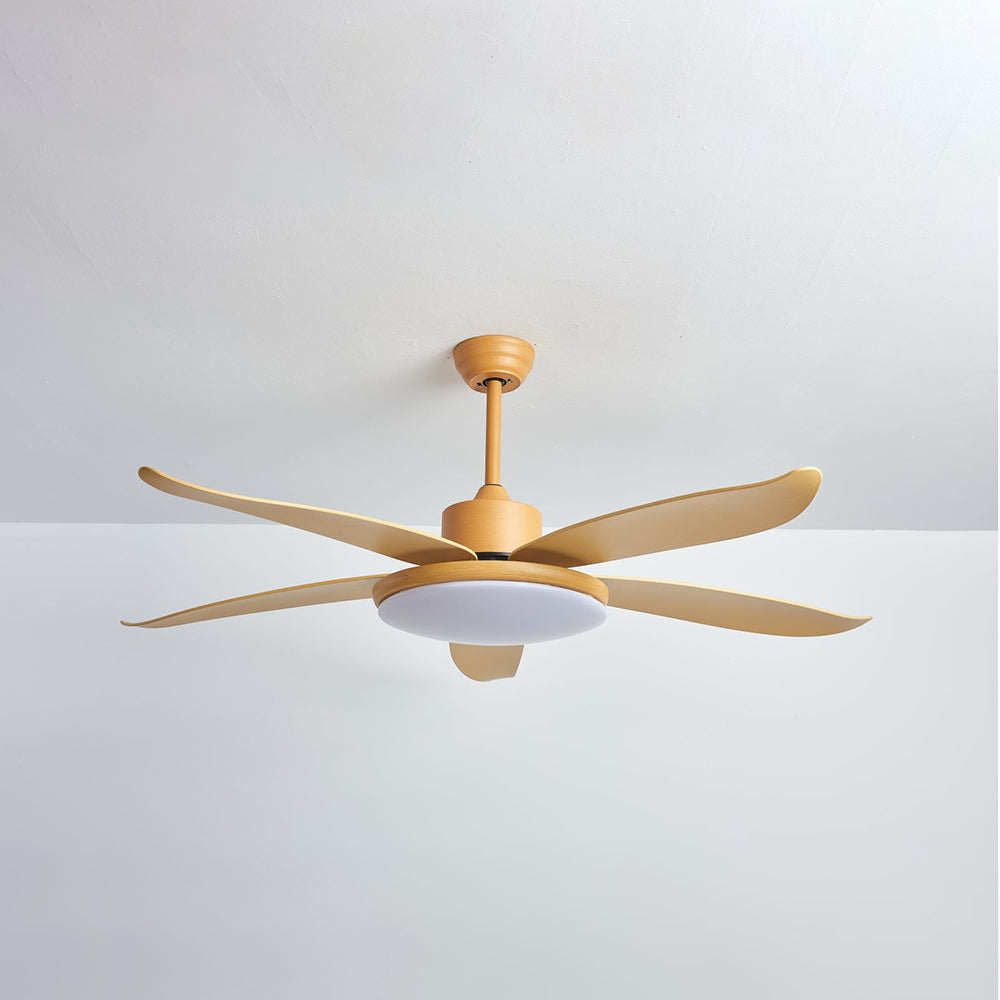 Haydn 5-Blade DC Ceiling Fan with Light, Wood Color, Summer, 40''/47''