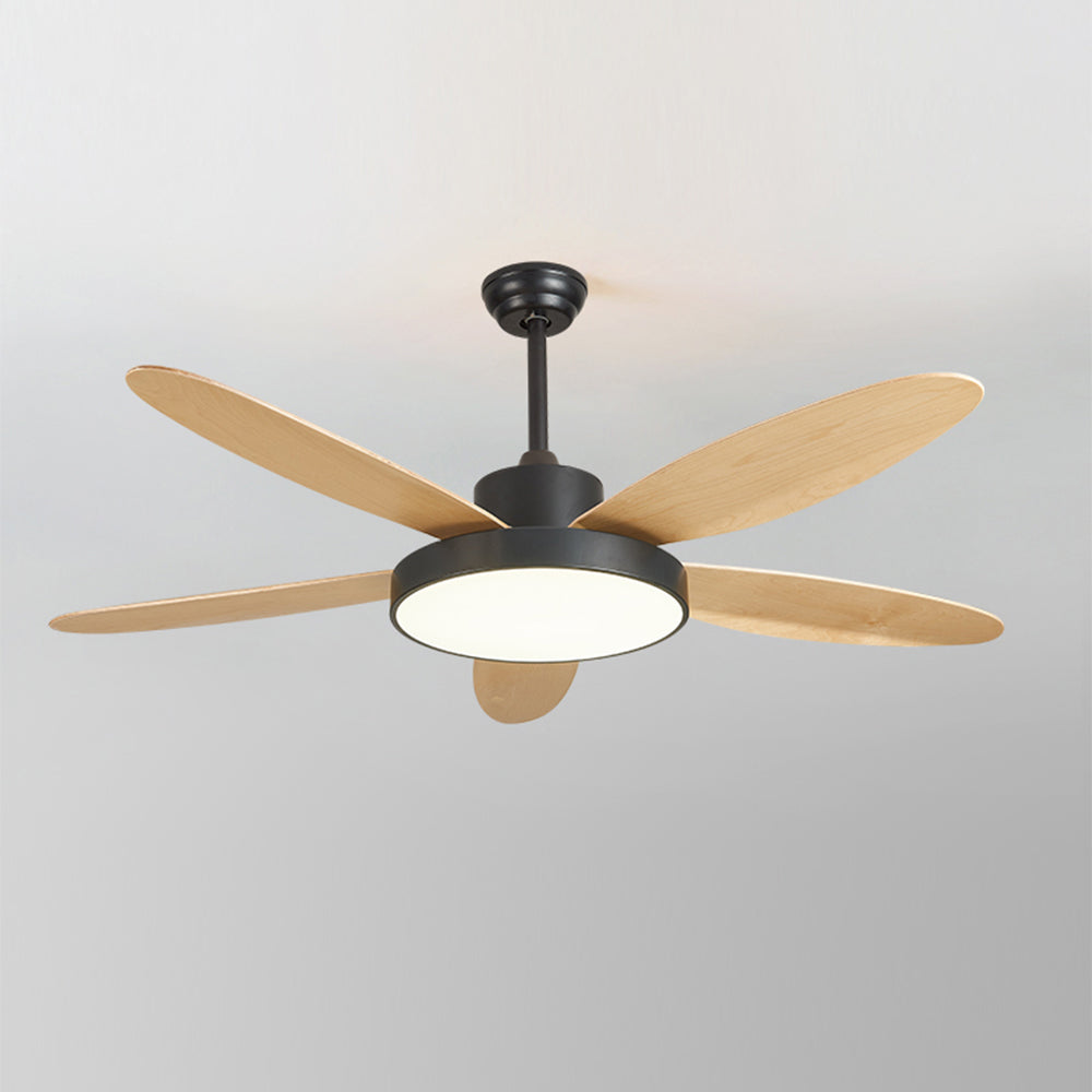 Haydn 5-Blade White & Black  DC Ceiling Fan with Light, Summer, 47.2''/51.2''/55.1''